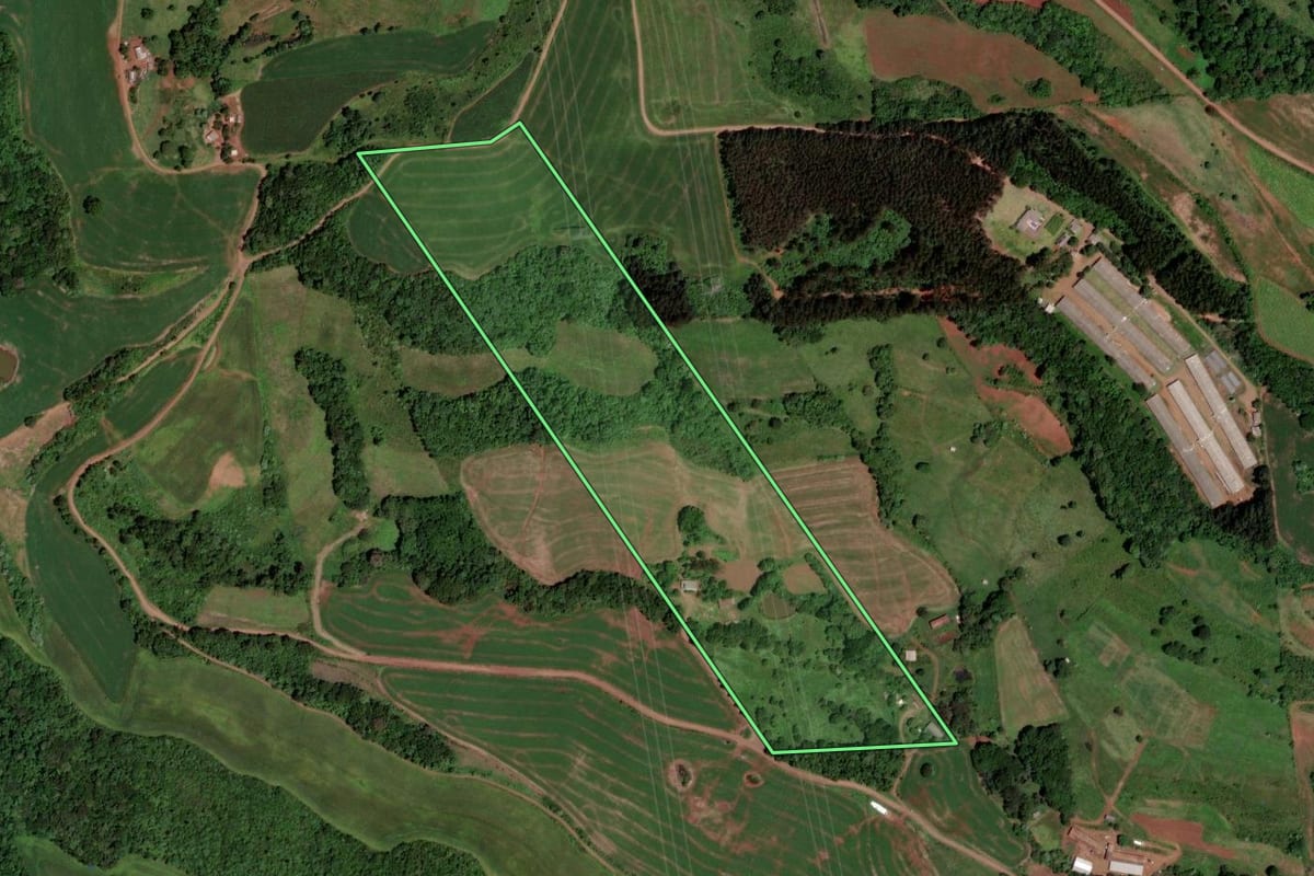 Imagem de satélite do imóvel rural em Bom Jesus (SC), com o contorno declarado no CAR desenhado por cima.
