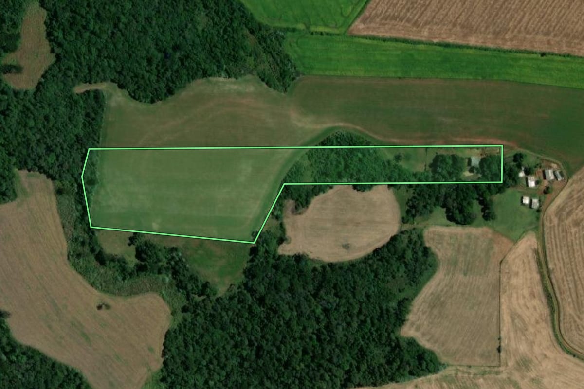 Imagem de satélite do imóvel rural em Bom Jesus (SC), com o contorno declarado no CAR desenhado por cima.