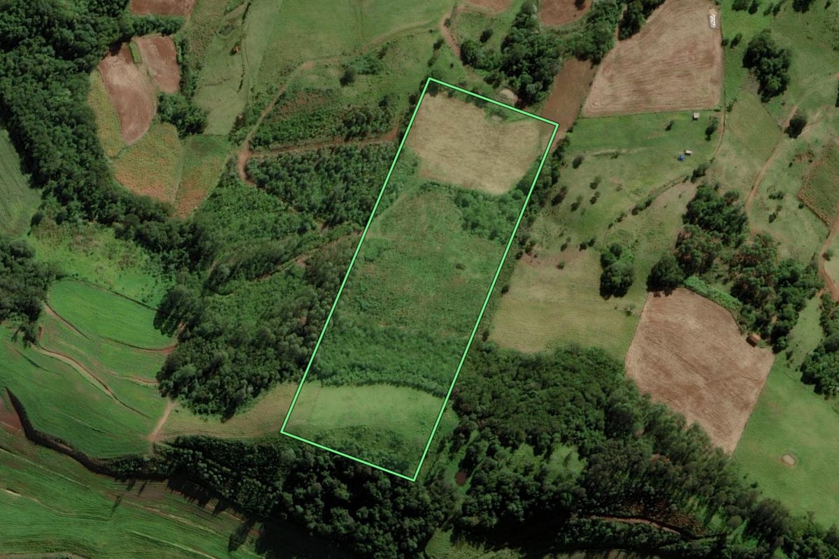 Imagem de satélite do imóvel rural em Bom Jesus do Oeste (SC), com o contorno declarado no CAR desenhado por cima.