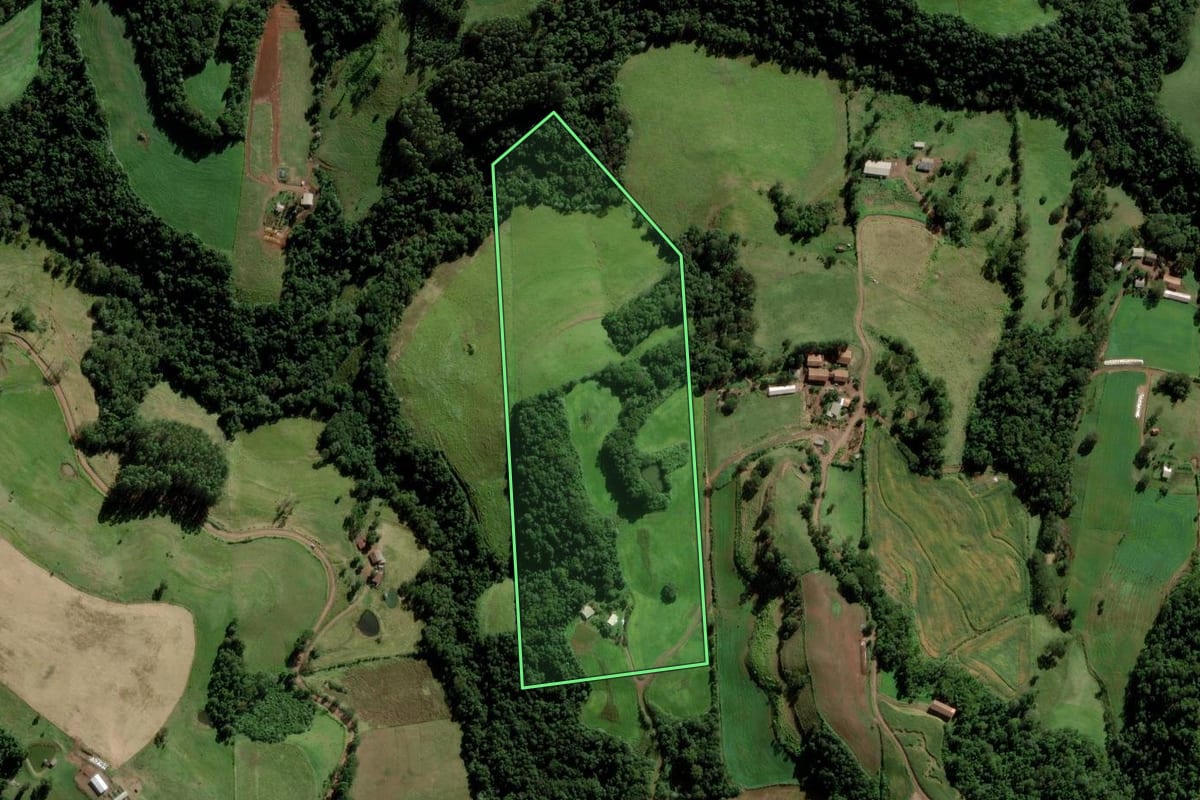 Imagem de satélite do imóvel rural em Bom Jesus do Oeste (SC), com o contorno declarado no CAR desenhado por cima.