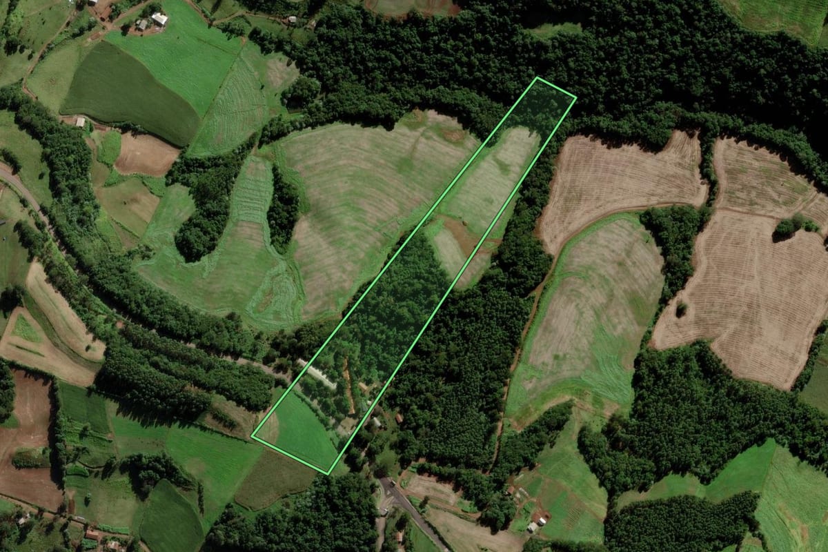 Imagem de satélite do imóvel rural em Bom Jesus do Oeste (SC), com o contorno declarado no CAR desenhado por cima.