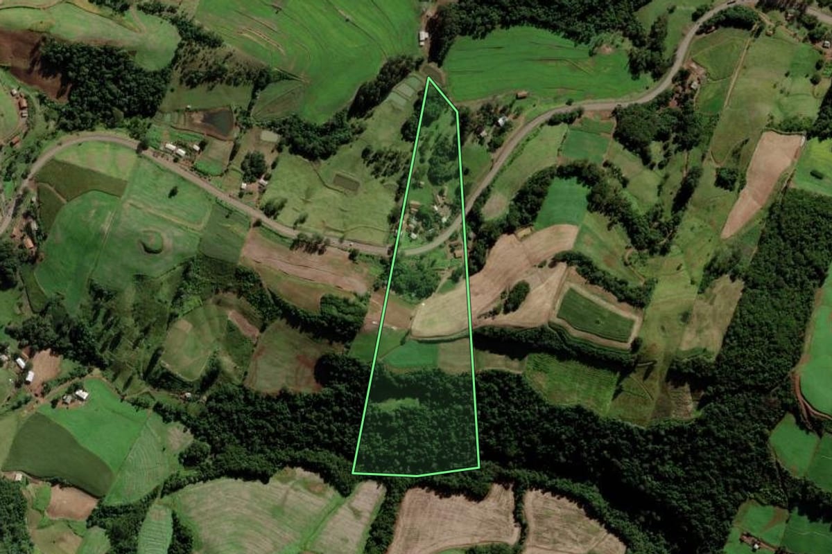 Imagem de satélite do imóvel rural em Bom Jesus do Oeste (SC), com o contorno declarado no CAR desenhado por cima.