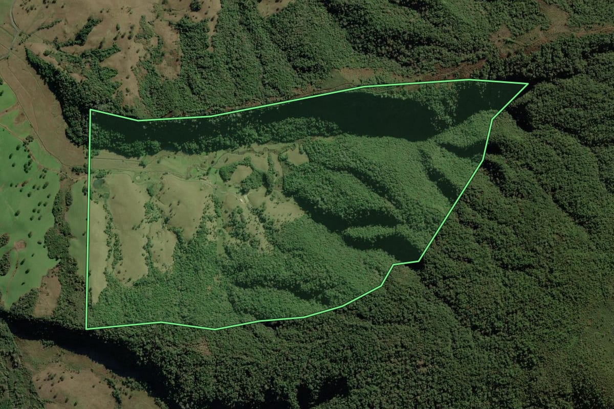 Imagem de satélite do imóvel rural em Bom Retiro (SC), com o contorno declarado no CAR desenhado por cima.