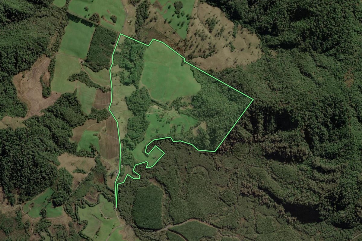 Imagem de satélite do imóvel rural em Bom Retiro (SC), com o contorno declarado no CAR desenhado por cima.