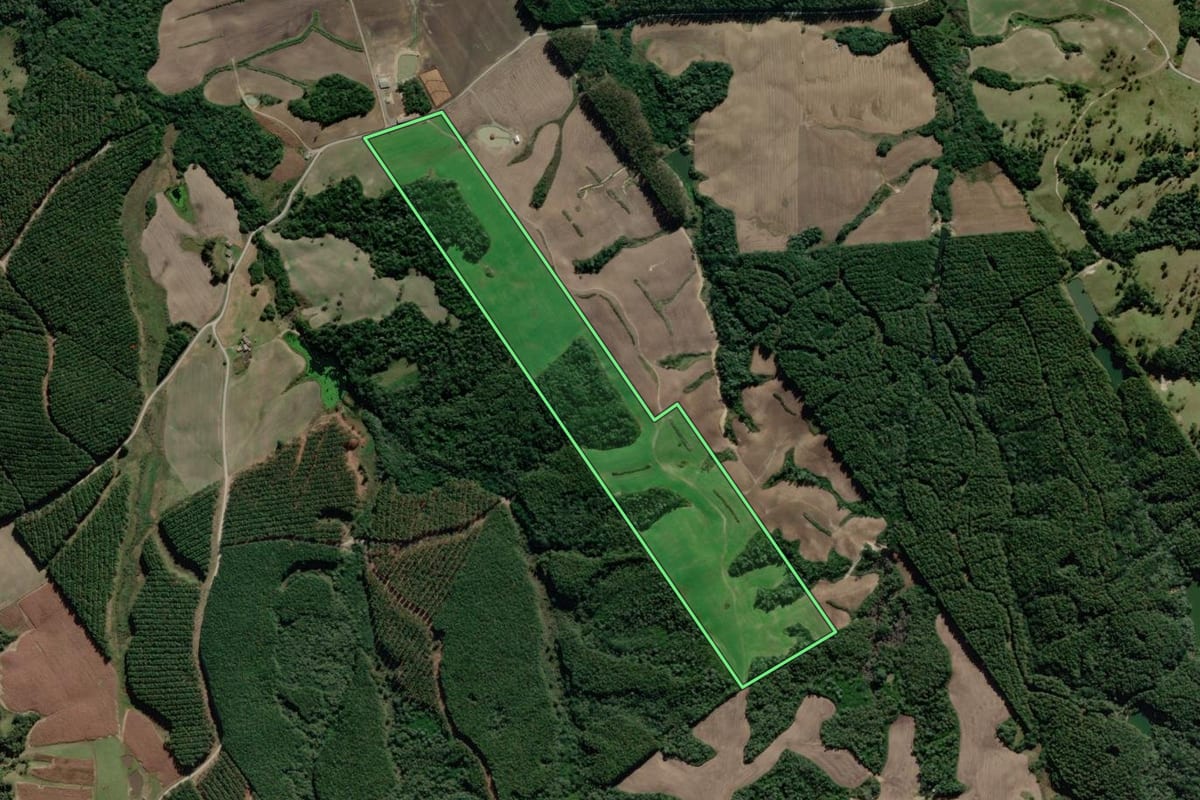 Imagem de satélite do imóvel rural em Bom Retiro (SC), com o contorno declarado no CAR desenhado por cima.