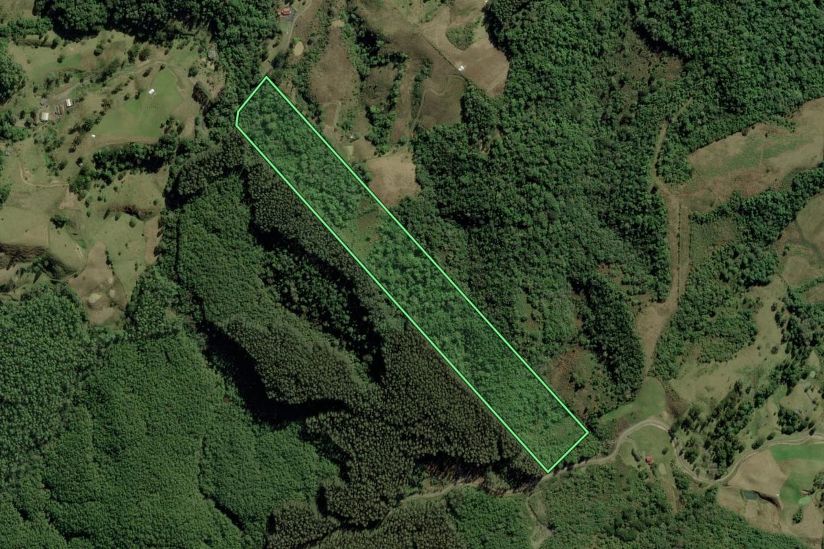 Imagem de satélite do imóvel rural em Bom Retiro (SC), com o contorno declarado no CAR desenhado por cima.