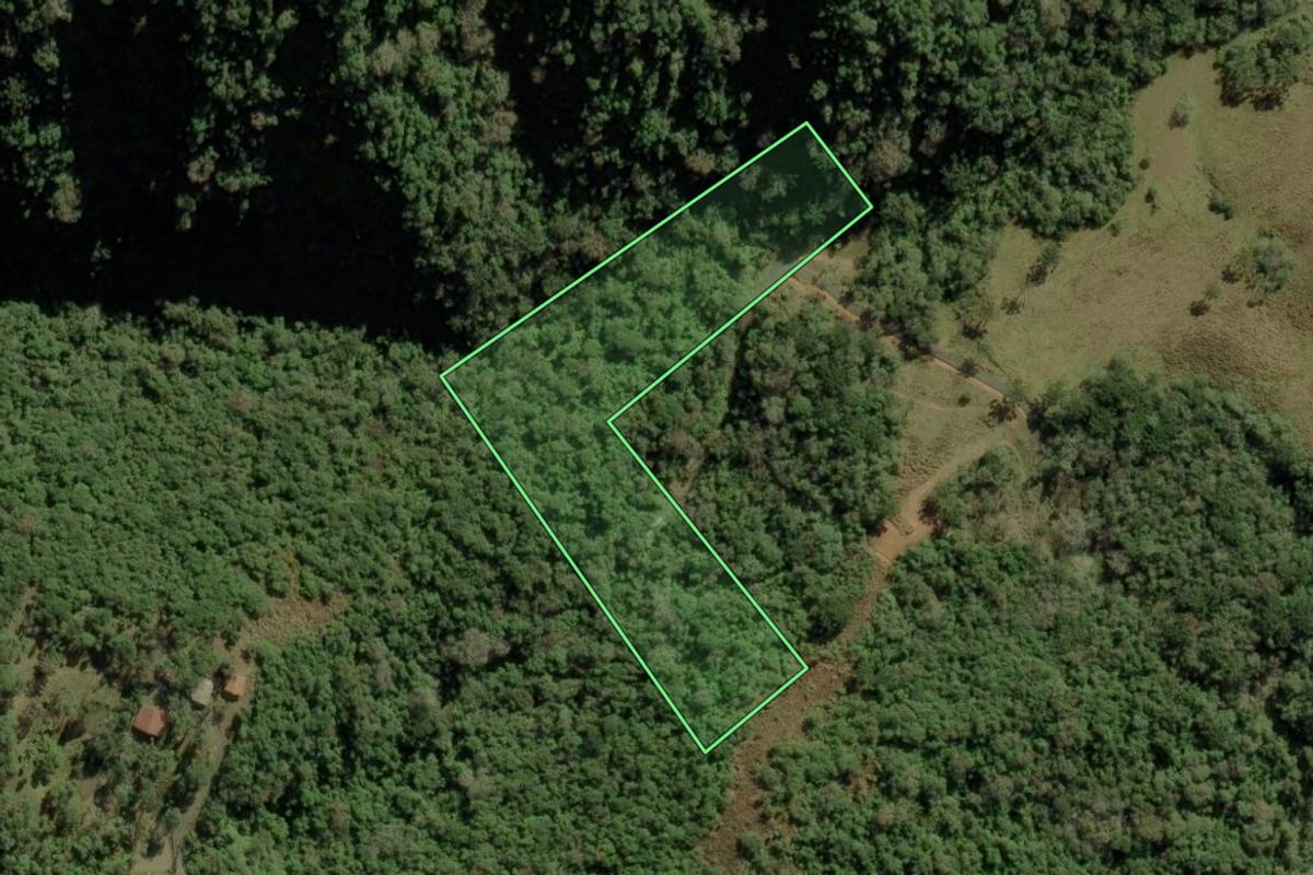 Imagem de satélite do imóvel rural em Bom Retiro (SC), com o contorno declarado no CAR desenhado por cima.