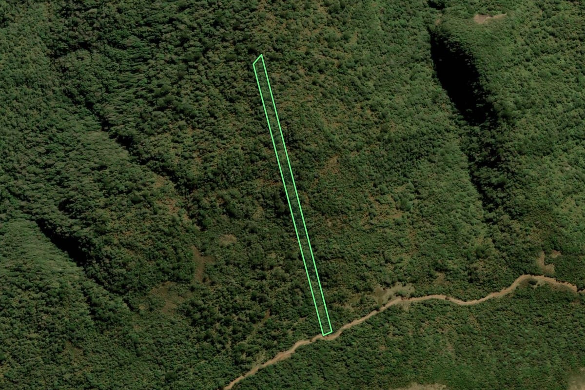 Imagem de satélite do imóvel rural em Bom Retiro (SC), com o contorno declarado no CAR desenhado por cima.