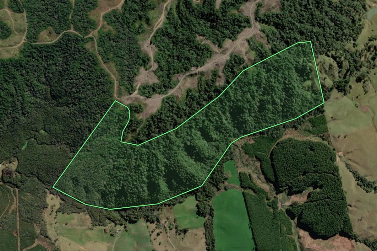 Imagem de satélite do imóvel rural em Bom Retiro (SC), com o contorno declarado no CAR desenhado por cima.