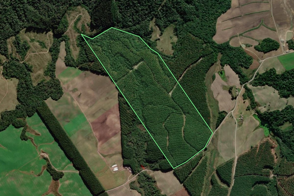 Imagem de satélite do imóvel rural em Bom Retiro (SC), com o contorno declarado no CAR desenhado por cima.