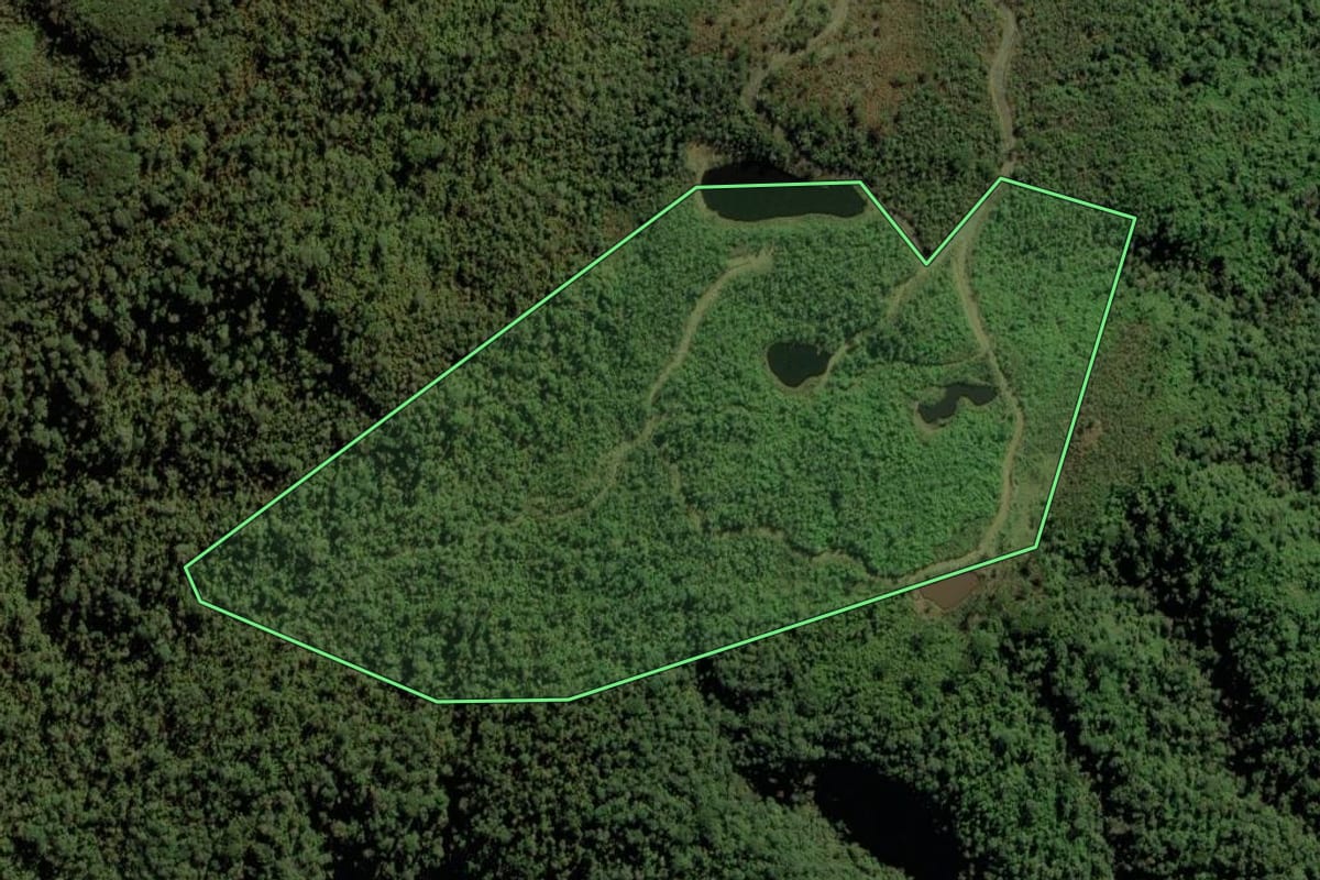 Imagem de satélite do imóvel rural em Bom Retiro (SC), com o contorno declarado no CAR desenhado por cima.
