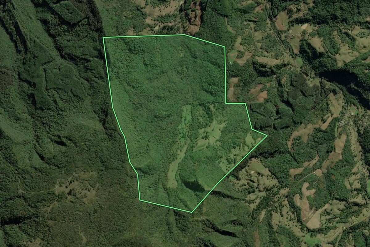 Imagem de satélite do imóvel rural em Bom Retiro (SC), com o contorno declarado no CAR desenhado por cima.