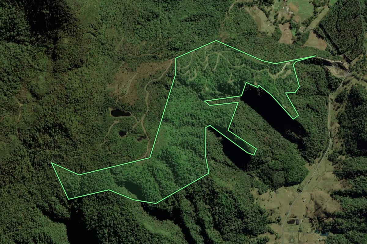 Imagem de satélite do imóvel rural em Bom Retiro (SC), com o contorno declarado no CAR desenhado por cima.