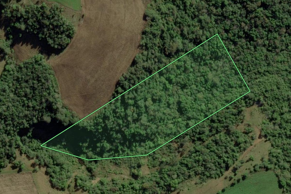 Imagem de satélite do imóvel rural em Bom Retiro (SC), com o contorno declarado no CAR desenhado por cima.