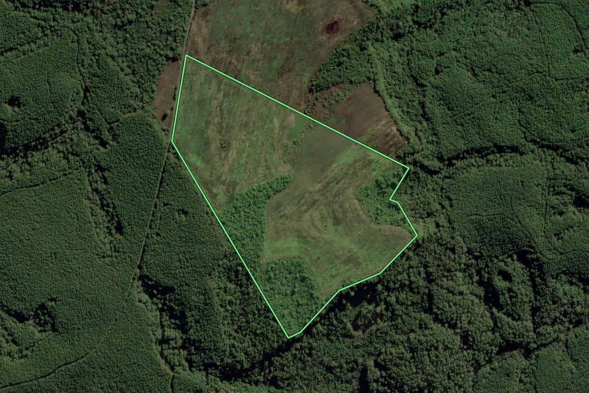 Imagem de satélite do imóvel rural em Bom Retiro (SC), com o contorno declarado no CAR desenhado por cima.