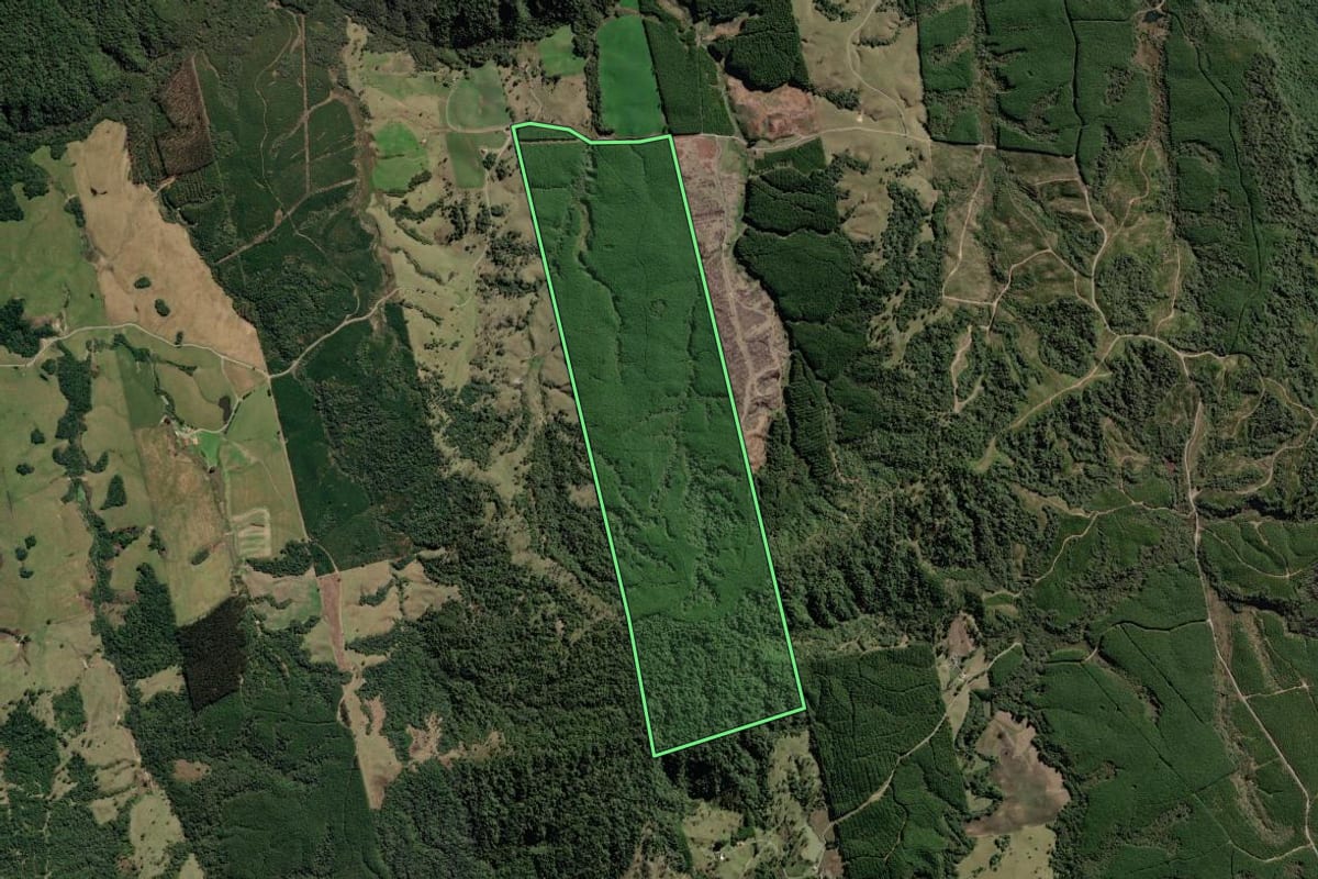 Imagem de satélite do imóvel rural em Bom Retiro (SC), com o contorno declarado no CAR desenhado por cima.