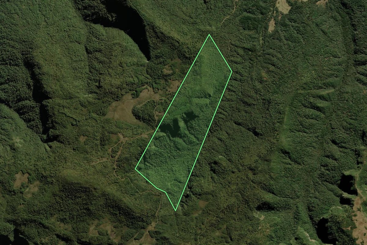 Imagem de satélite do imóvel rural em Bom Retiro (SC), com o contorno declarado no CAR desenhado por cima.