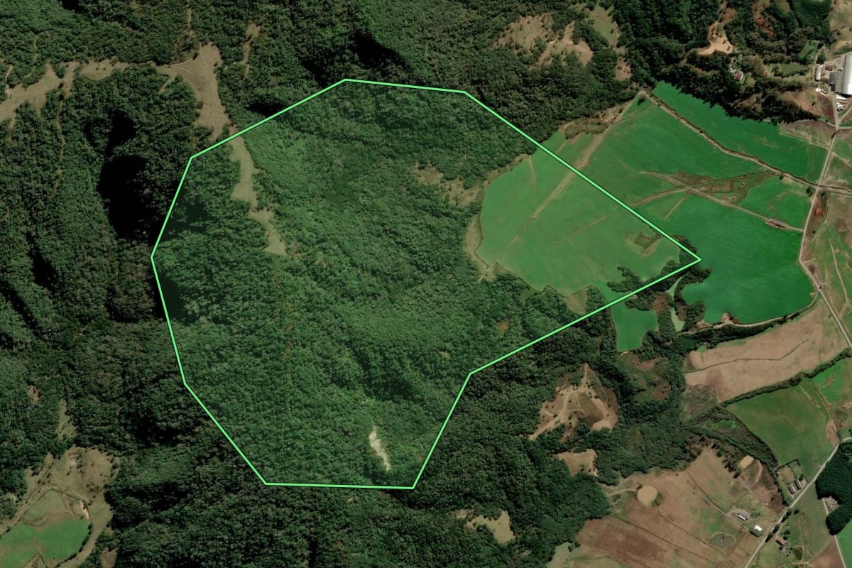 Imagem de satélite do imóvel rural em Bom Retiro (SC), com o contorno declarado no CAR desenhado por cima.