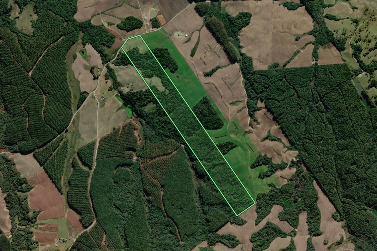 Imagem de satélite do imóvel rural em Bom Retiro (SC), com o contorno declarado no CAR desenhado por cima.