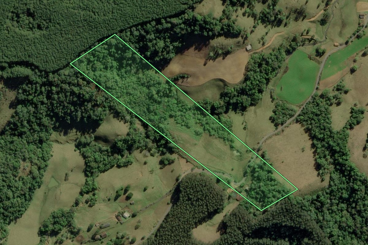 Imagem de satélite do imóvel rural em Bom Retiro (SC), com o contorno declarado no CAR desenhado por cima.