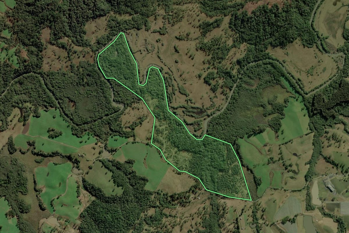 Imagem de satélite do imóvel rural em Bom Retiro (SC), com o contorno declarado no CAR desenhado por cima.