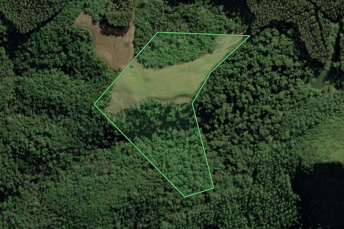 Imagem de satélite do imóvel rural em Bom Retiro (SC), com o contorno declarado no CAR desenhado por cima.