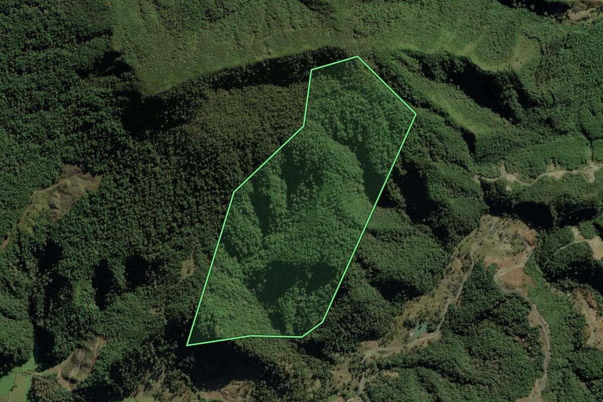 Imagem de satélite do imóvel rural em Bom Retiro (SC), com o contorno declarado no CAR desenhado por cima.