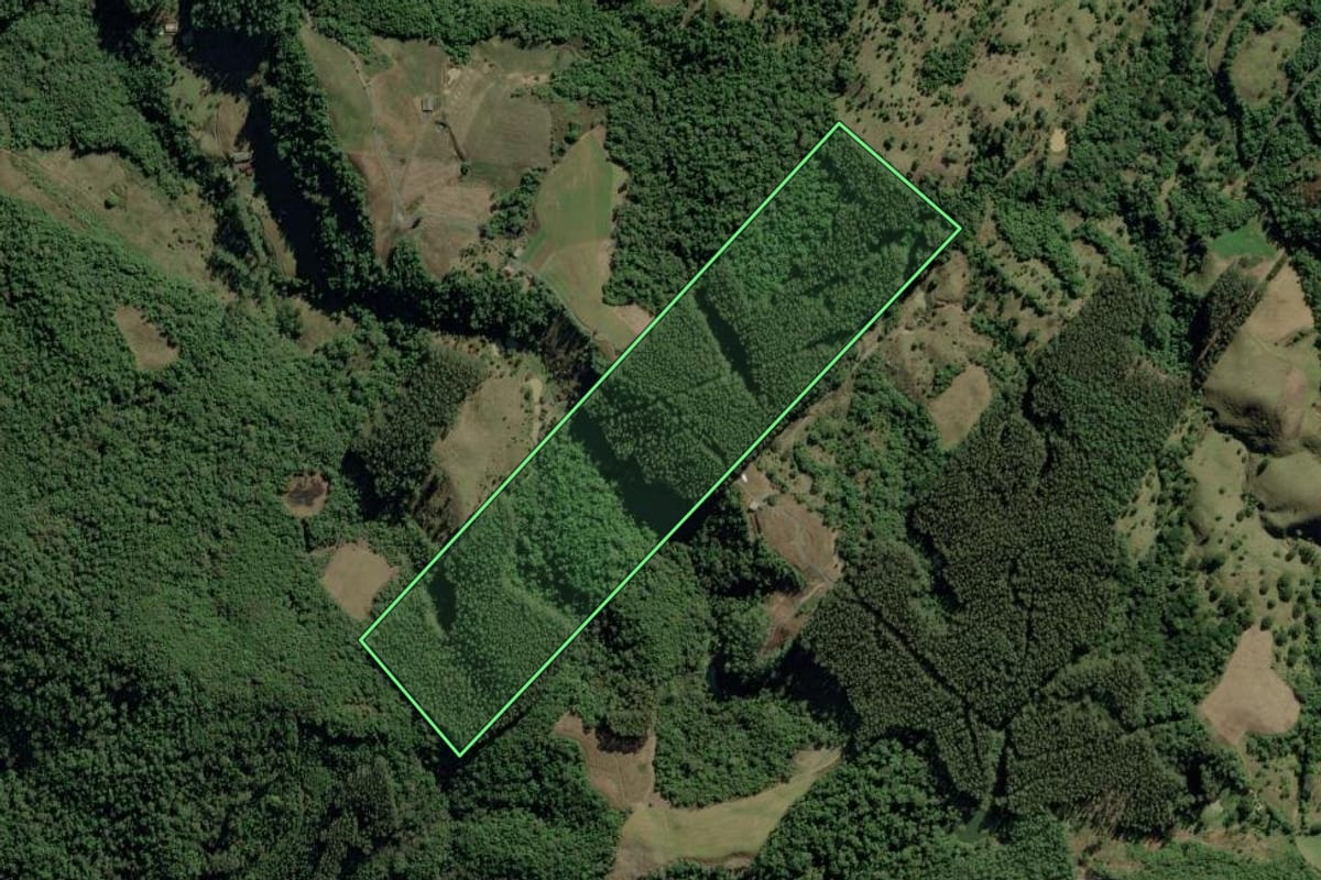 Imagem de satélite do imóvel rural em Bom Retiro (SC), com o contorno declarado no CAR desenhado por cima.