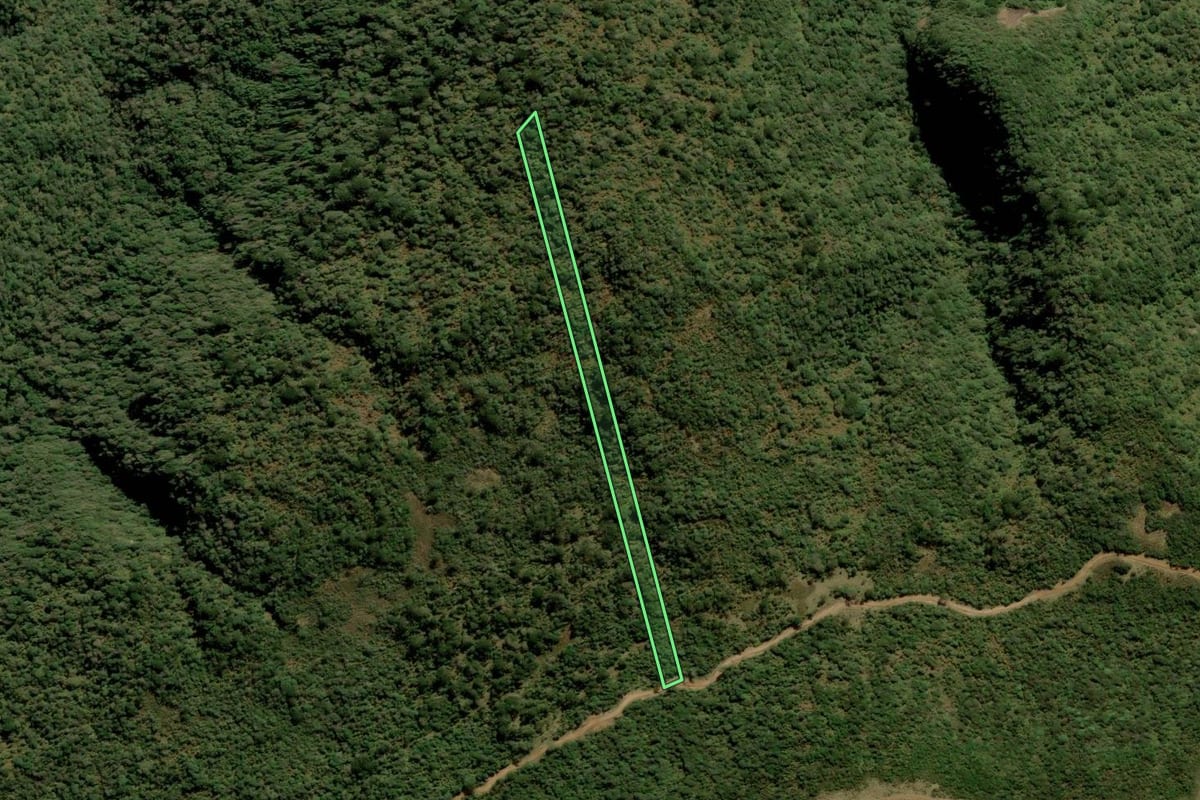 Imagem de satélite do imóvel rural em Bom Retiro (SC), com o contorno declarado no CAR desenhado por cima.