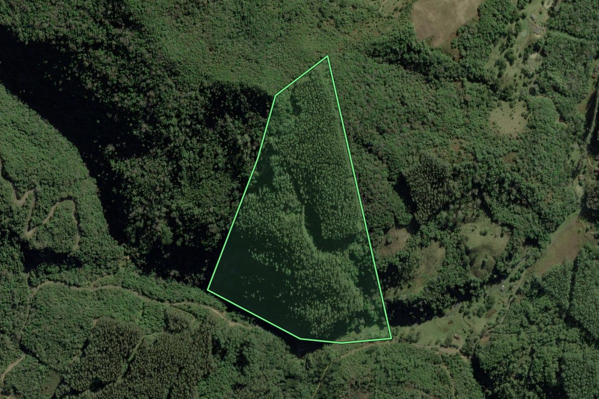 Imagem de satélite do imóvel rural em Bom Retiro (SC), com o contorno declarado no CAR desenhado por cima.