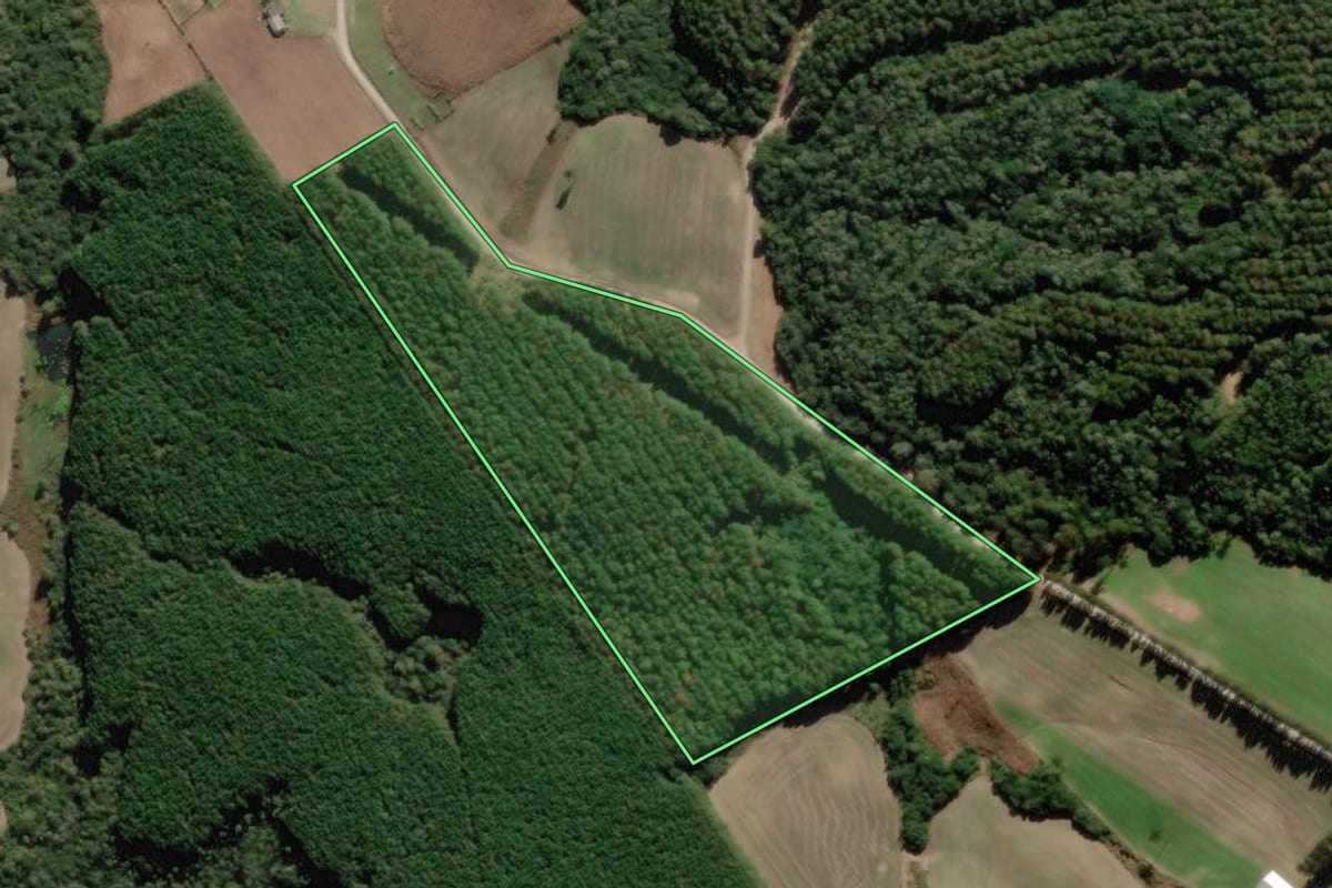 Imagem de satélite do imóvel rural em Bom Retiro (SC), com o contorno declarado no CAR desenhado por cima.