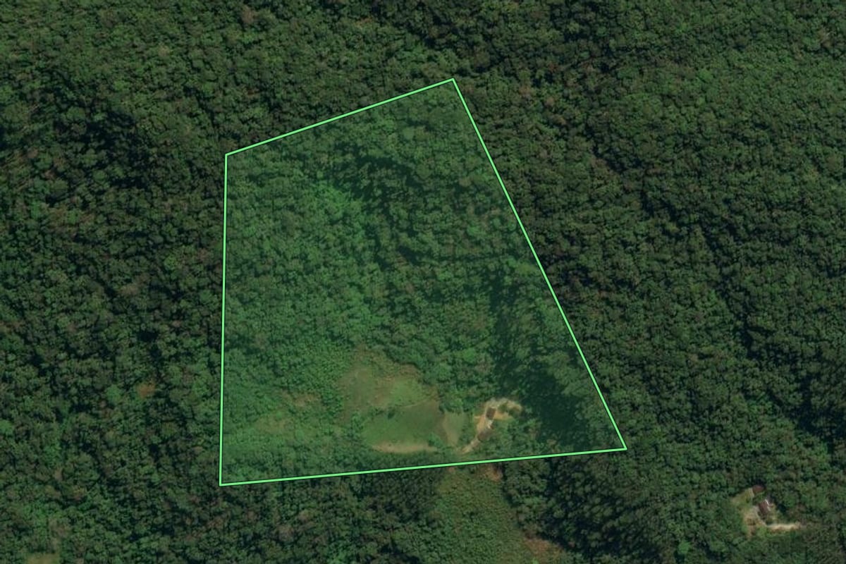 Imagem de satélite do imóvel rural em Botuverá (SC), com o contorno declarado no CAR desenhado por cima.