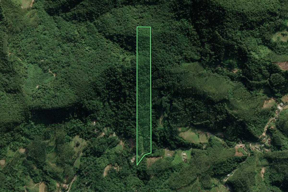 Imagem de satélite do imóvel rural em Botuverá (SC), com o contorno declarado no CAR desenhado por cima.