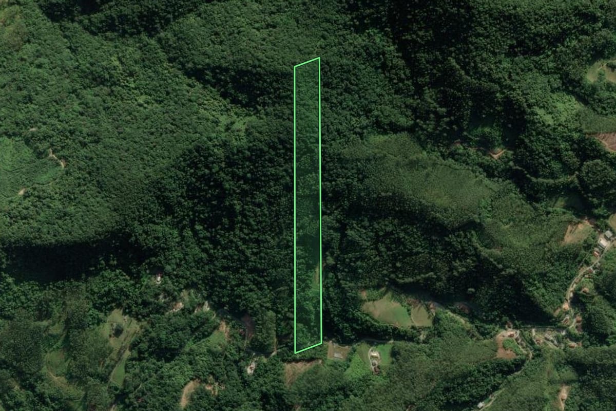 Imagem de satélite do imóvel rural em Botuverá (SC), com o contorno declarado no CAR desenhado por cima.