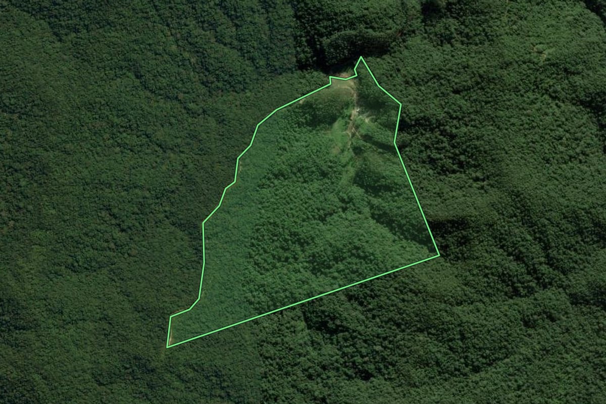 Imagem de satélite do imóvel rural em Botuverá (SC), com o contorno declarado no CAR desenhado por cima.