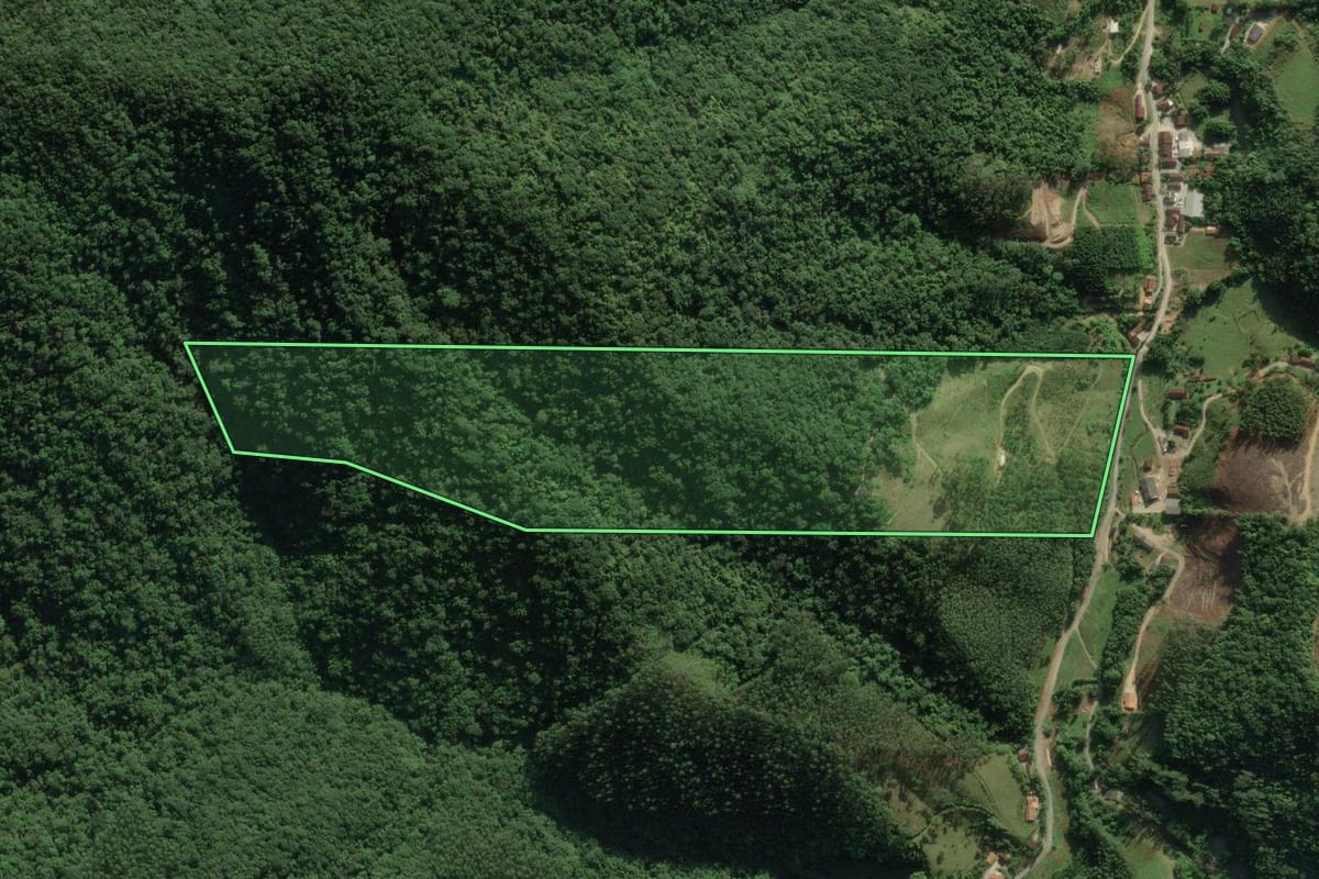 Imagem de satélite do imóvel rural em Botuverá (SC), com o contorno declarado no CAR desenhado por cima.