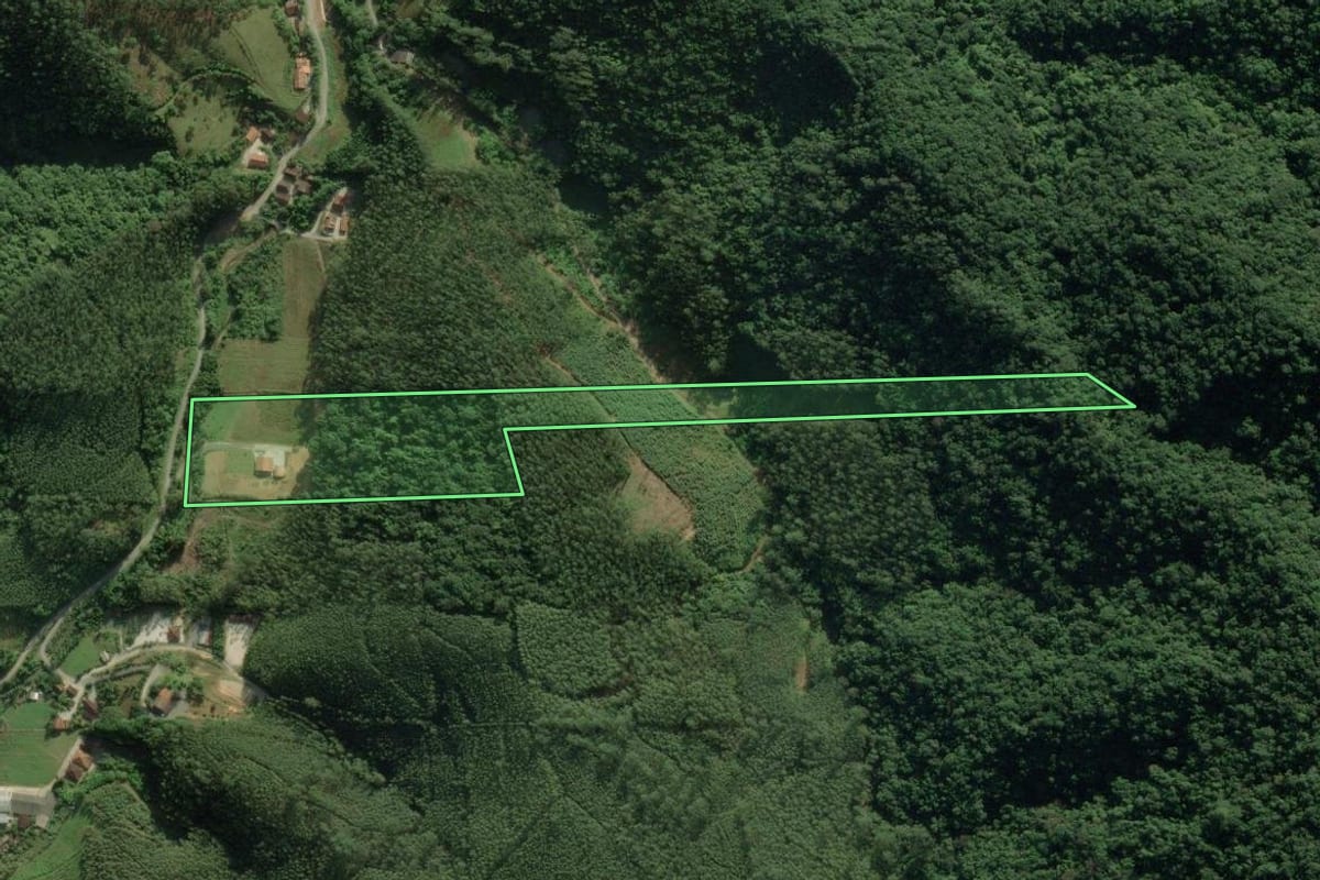 Imagem de satélite do imóvel rural em Botuverá (SC), com o contorno declarado no CAR desenhado por cima.