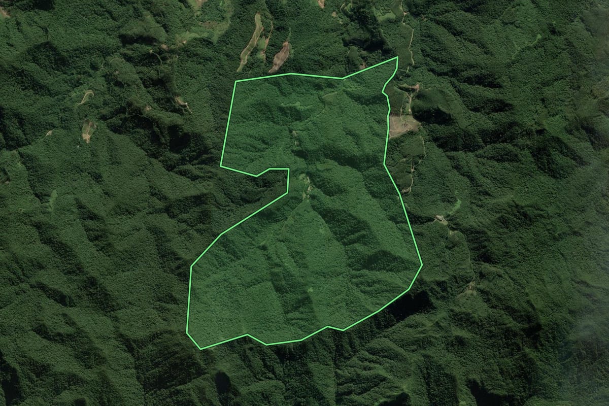 Imagem de satélite do imóvel rural em Botuverá (SC), com o contorno declarado no CAR desenhado por cima.