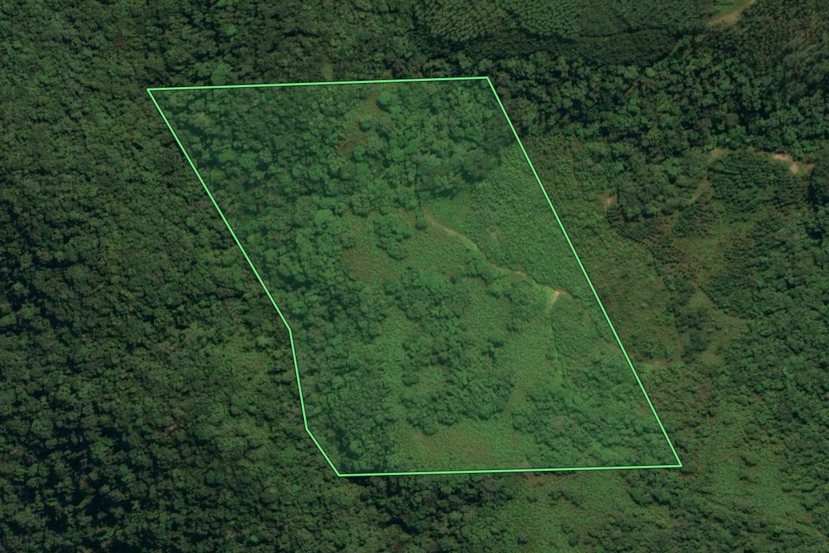 Imagem de satélite do imóvel rural em Botuverá (SC), com o contorno declarado no CAR desenhado por cima.