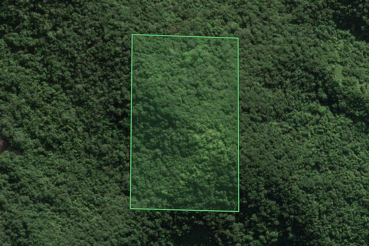Imagem de satélite do imóvel rural em Botuverá (SC), com o contorno declarado no CAR desenhado por cima.