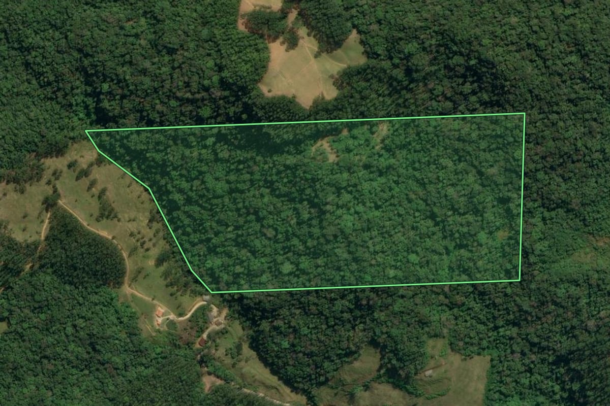 Imagem de satélite do imóvel rural em Botuverá (SC), com o contorno declarado no CAR desenhado por cima.