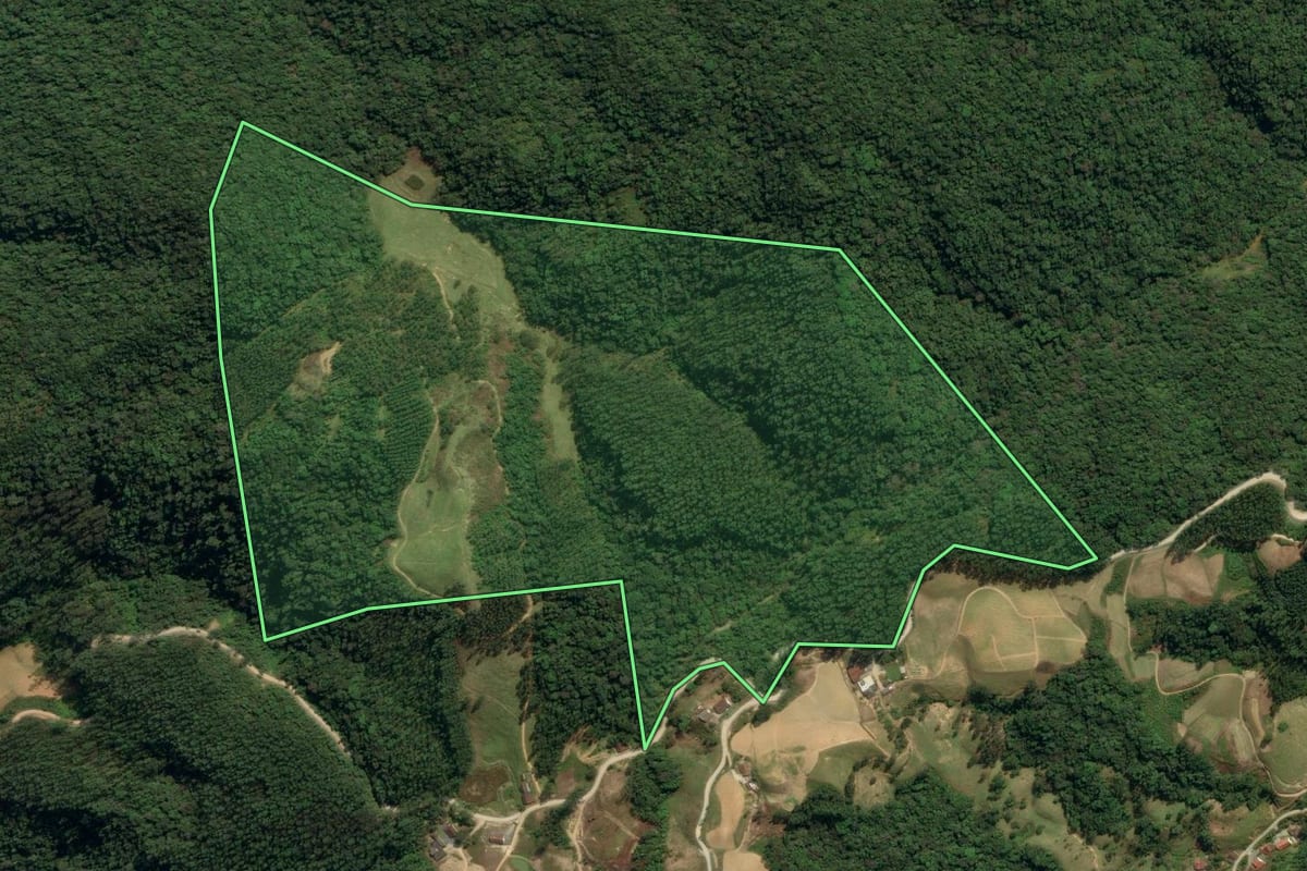 Imagem de satélite do imóvel rural em Botuverá (SC), com o contorno declarado no CAR desenhado por cima.
