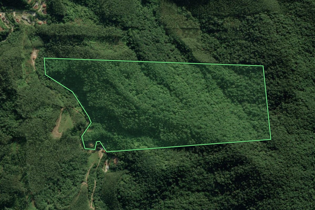 Imagem de satélite do imóvel rural em Botuverá (SC), com o contorno declarado no CAR desenhado por cima.