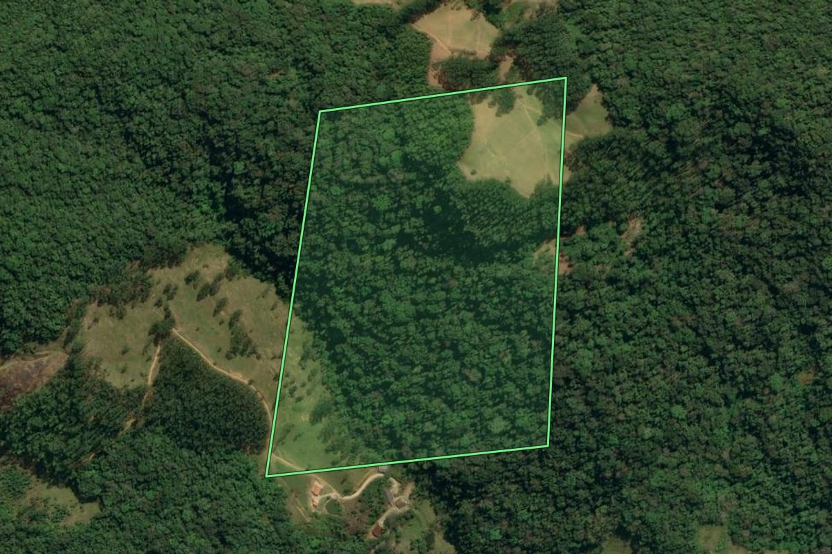Imagem de satélite do imóvel rural em Botuverá (SC), com o contorno declarado no CAR desenhado por cima.
