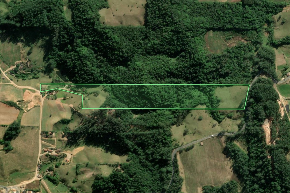 Imagem de satélite do imóvel rural em Braço do Norte (SC), com o contorno declarado no CAR desenhado por cima.
