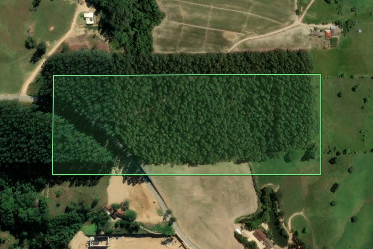 Imagem de satélite do imóvel rural em Braço do Norte (SC), com o contorno declarado no CAR desenhado por cima.