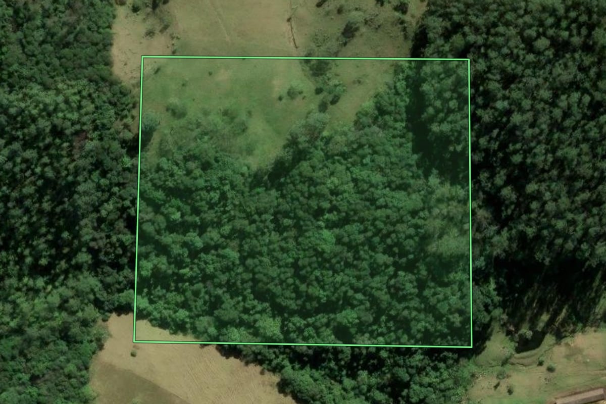 Imagem de satélite do imóvel rural em Braço do Norte (SC), com o contorno declarado no CAR desenhado por cima.