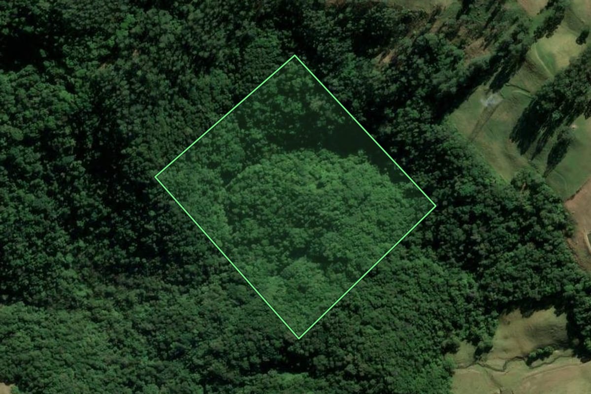 Imagem de satélite do imóvel rural em Braço do Norte (SC), com o contorno declarado no CAR desenhado por cima.
