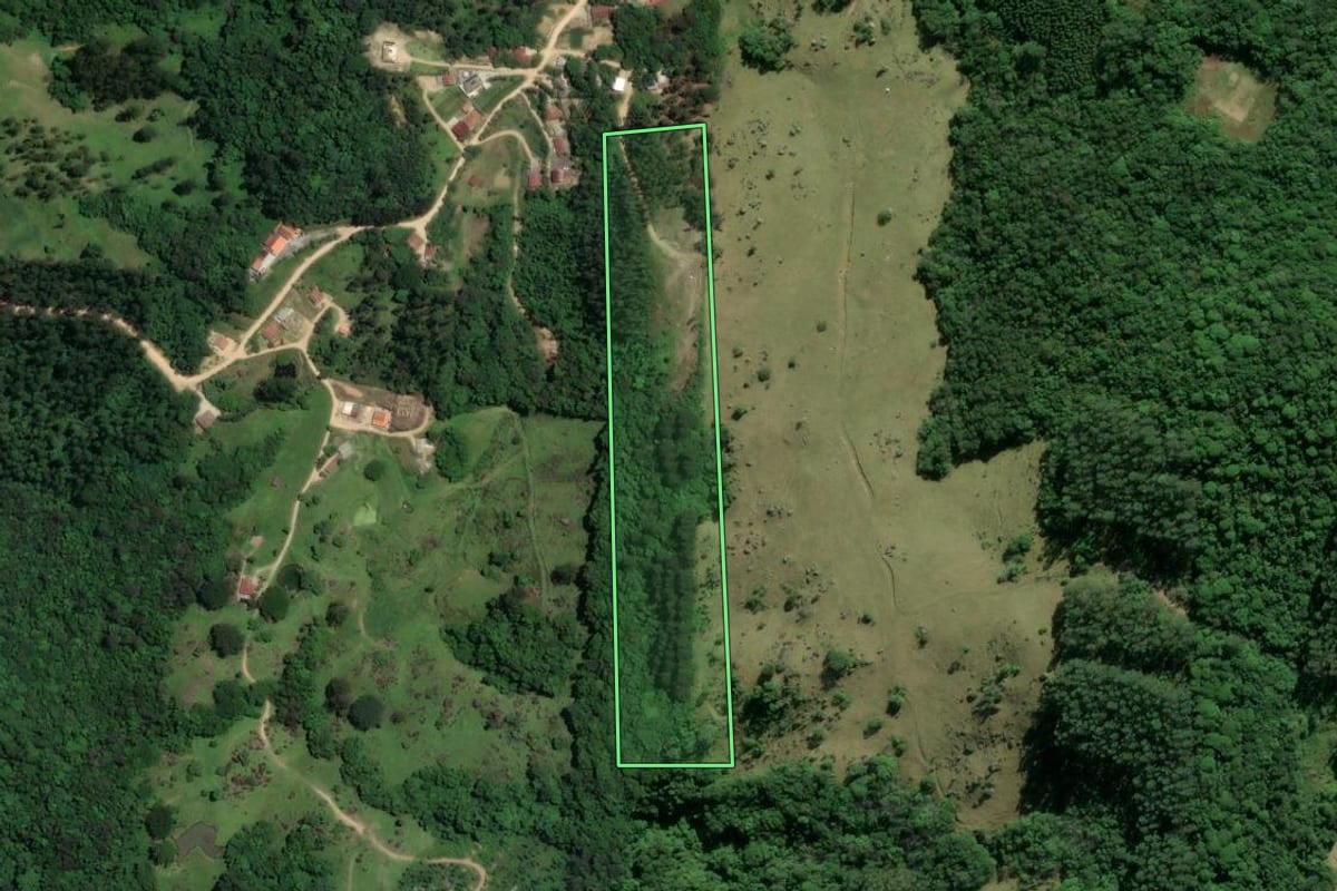 Imagem de satélite do imóvel rural em Braço do Norte (SC), com o contorno declarado no CAR desenhado por cima.