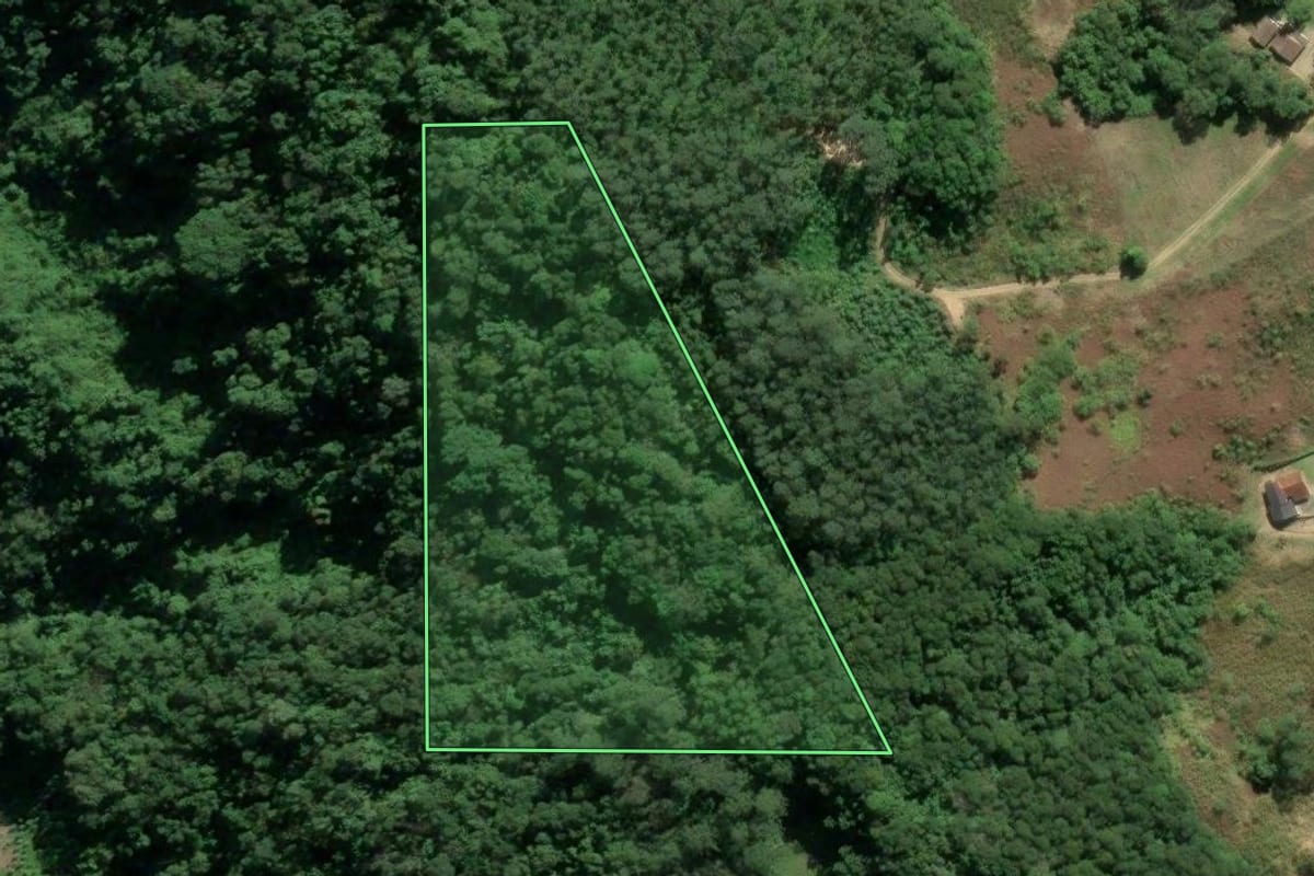 Imagem de satélite do imóvel rural em Braço do Norte (SC), com o contorno declarado no CAR desenhado por cima.